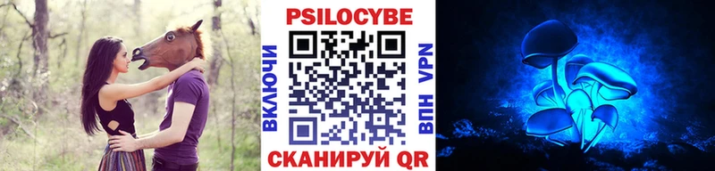 Галлюциногенные грибы Psilocybine cubensis Жуков