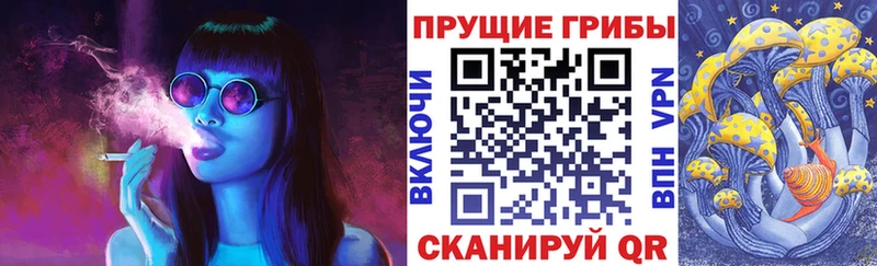 Галлюциногенные грибы Psilocybe  наркошоп  hydra зеркало  Жуков 